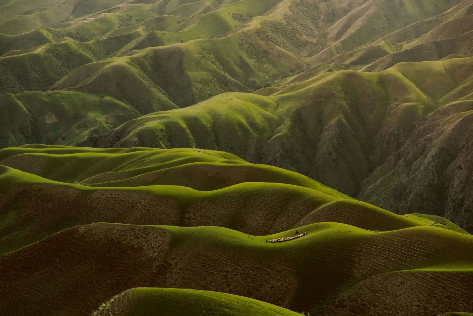 Qingbao Meng on Unsplash - valley of green hills